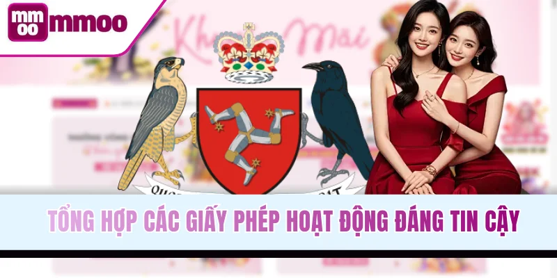 Tổng hợp các giấy phép hoạt động đáng tin cậy